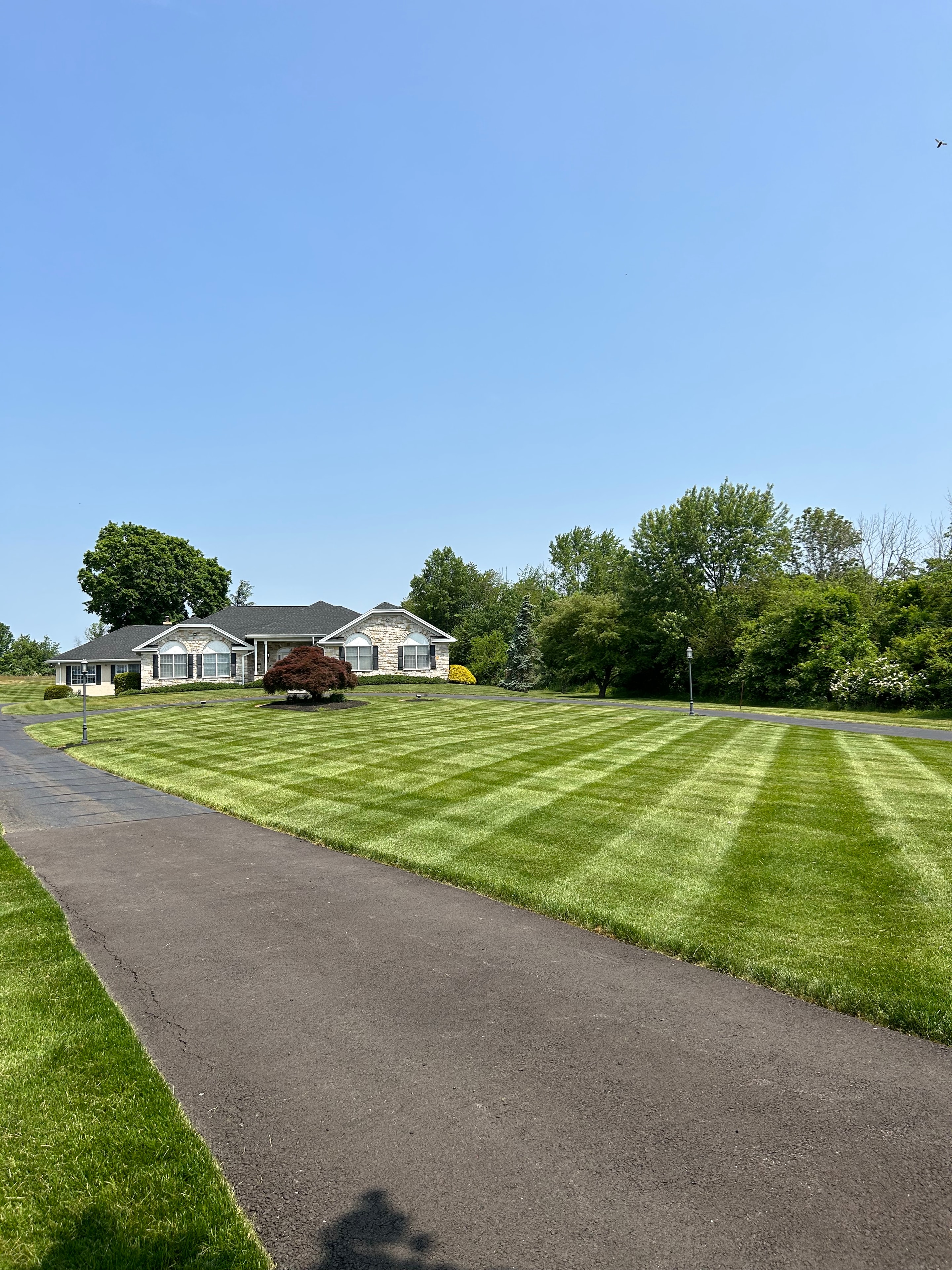 Diamond Pattern Mowing