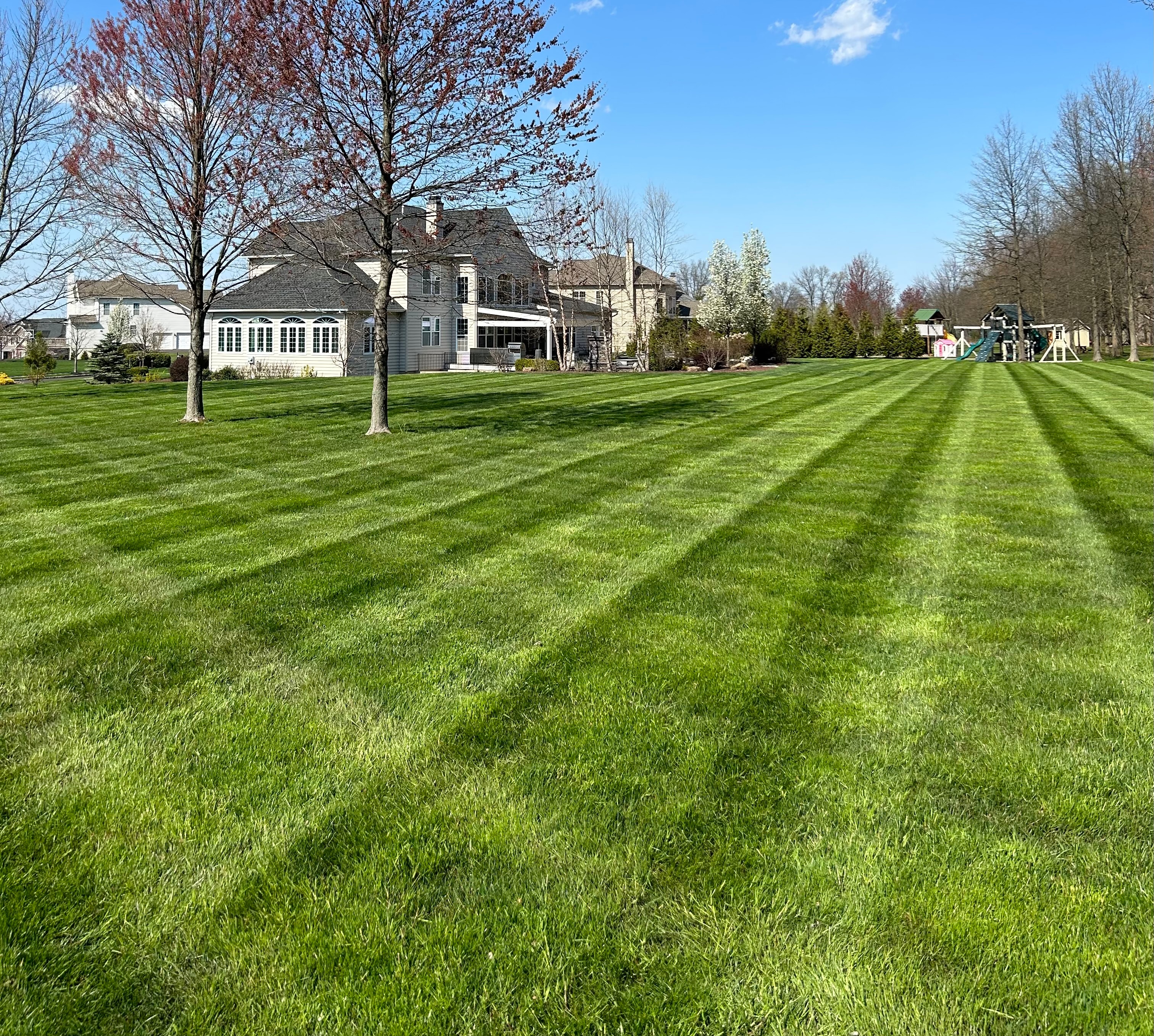 Perfectly Striped Lawn